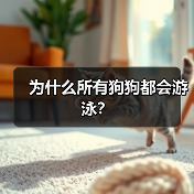 为什么所有狗狗都会游泳？（图2）