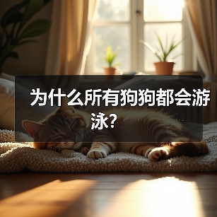 为什么所有狗狗都会游泳？（图1）
