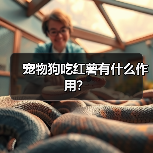 宠物狗吃红薯有什么作用？（图4）