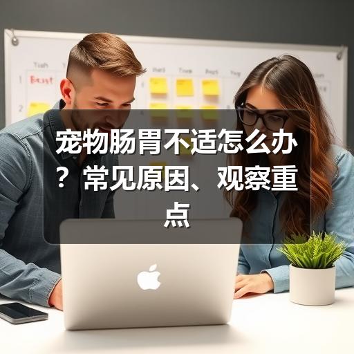宠物肠胃不适怎么办?常见原因、观察重点和护理建议