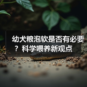 幼犬粮泡软是否有必要？科学喂养新观点（图1）