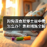 狗狗误食发芽土豆中毒怎么办？急救措施全解析（图2）