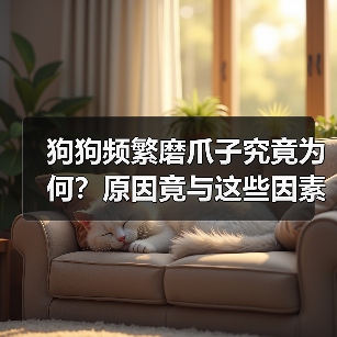 狗狗频繁磨爪子究竟为何？原因竟与这些因素有关！（图1）
