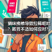 猫咪换粮导致拉稀呕吐？肠胃不适如何应对？（图2）