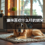 猫咪喜欢什么样的猫窝？（图1）