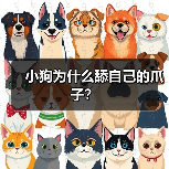小狗为什么舔自己的爪子？（图2）