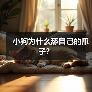 小狗为什么舔自己的爪子？（图1）