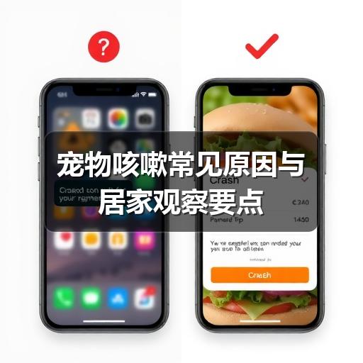 宠物咳嗽常见原因与居家观察要点