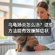 乌龟肠炎怎么治？这些方法能有效缓解症状（图1）