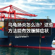 乌龟肠炎怎么治？这些方法能有效缓解症状（图4）