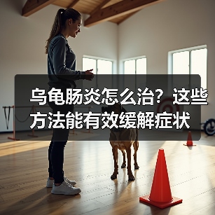 乌龟肠炎怎么治？这些方法能有效缓解症状（图3）