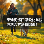 泰迪狗伤口感染化脓快速愈合方法有哪些？（图3）