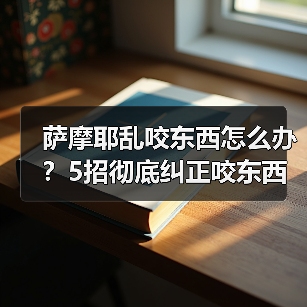 萨摩耶乱咬东西怎么办？5招彻底纠正咬东西习惯（图4）