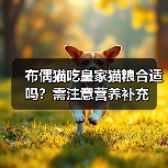 布偶猫吃皇家猫粮合适吗？需注意营养补充（图3）