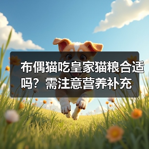 布偶猫吃皇家猫粮合适吗？需注意营养补充（图4）