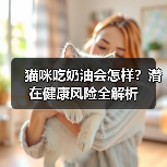 猫咪吃奶油会怎样？潜在健康风险全解析（图2）