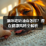 猫咪吃奶油会怎样？潜在健康风险全解析（图1）