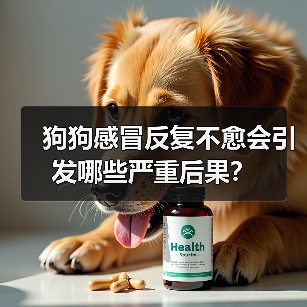 狗狗感冒反复不愈会引发哪些严重后果？（图1）