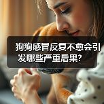 狗狗感冒反复不愈会引发哪些严重后果？（图3）