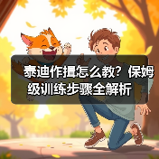 泰迪作揖怎么教？保姆级训练步骤全解析（图3）