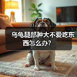 乌龟腿部肿大不爱吃东西怎么办？（图4）