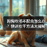 狗狗吹毛不配合怎么办？快速吹干方法大揭秘（图2）