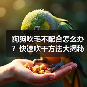 狗狗吹毛不配合怎么办？快速吹干方法大揭秘（图1）
