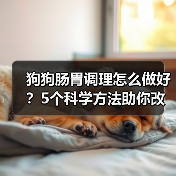 狗狗肠胃调理怎么做好？5个科学方法助你改善狗狗消化（图1）