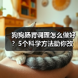 狗狗肠胃调理怎么做好？5个科学方法助你改善狗狗消化（图2）