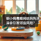 细小病毒期间给狗狗洗澡会引发哪些风险?(图1) 细小病毒期间给狗狗洗澡会引发哪些风险?(图1)