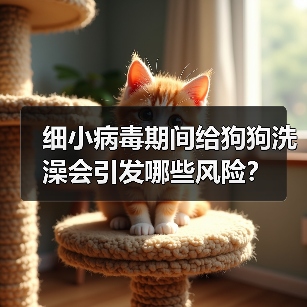 细小病毒期间给狗狗洗澡会引发哪些风险?(图2) 细小病毒期间给狗狗洗澡会引发哪些风险?(图2)