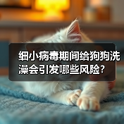 细小病毒期间给狗狗洗澡会引发哪些风险?(图3) 细小病毒期间给狗狗洗澡会引发哪些风险?(图3)