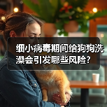 细小病毒期间给狗狗洗澡会引发哪些风险?(图4) 细小病毒期间给狗狗洗澡会引发哪些风险?(图4)