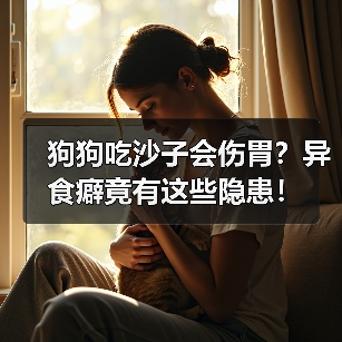 狗狗吃沙子会伤胃？异食癖竟有这些隐患！（图1）