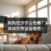 狗狗吃沙子会伤胃？异食癖竟有这些隐患！（图4）