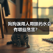 狗狗误用人用眼药水会有哪些危害？（图2）