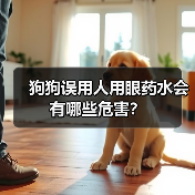 狗狗误用人用眼药水会有哪些危害？（图1）