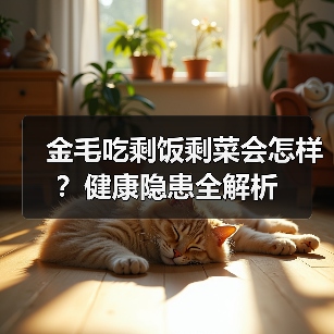 金毛吃剩饭剩菜会怎样？健康隐患全解析（图1）
