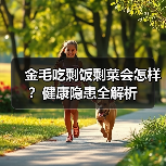 金毛吃剩饭剩菜会怎样？健康隐患全解析（图4）