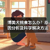 博美犬挑食怎么办？原因分析及科学解决方法（图3）