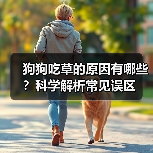 狗狗吃草的原因有哪些？科学解析常见误区（图3）