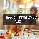 牧羊犬土狗混血后代会怎样？（图4）