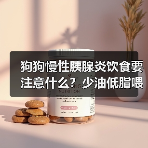 狗狗慢性胰腺炎饮食要注意什么？少油低脂喂养全攻略（图2）