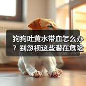 狗狗吐黄水带血怎么办？别忽视这些潜在危险（图1）