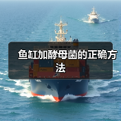 鱼缸加酵母菌的正确方法（图2）