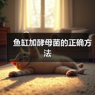 鱼缸加酵母菌的正确方法（图1）