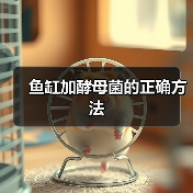 鱼缸加酵母菌的正确方法（图4）
