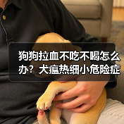 狗狗拉血不吃不喝怎么办？犬瘟热细小危险症状解析（图2）