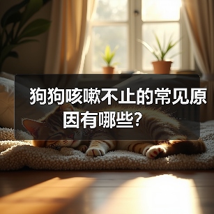 狗狗咳嗽不止的常见原因有哪些？（图2）