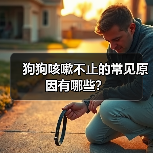 狗狗咳嗽不止的常见原因有哪些？（图3）